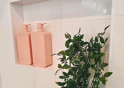 plant and bottles of shampoo on the shower niche
